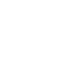 Team Members